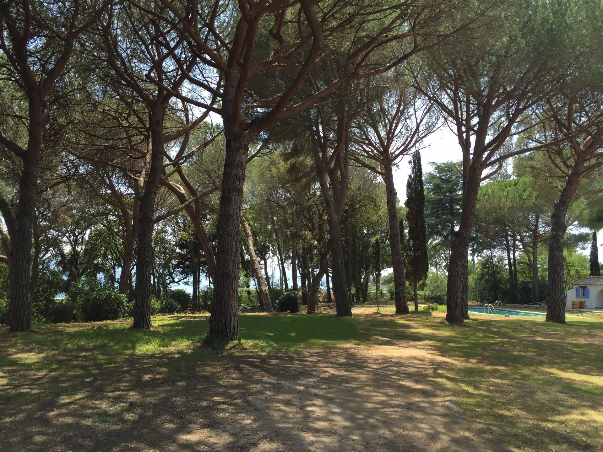 Le Parc aux Pins Parasols